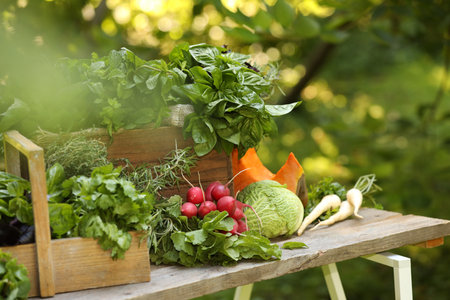 Different fresh herbs and vegetables on wooden table outdoorsの写真素材