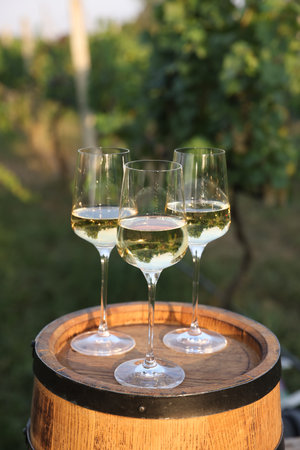 Tasty wine in glasses on wooden barrel outdoorsの写真素材