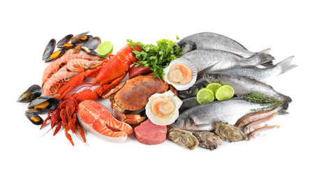 Fresh fish and different sea food isolated on whiteの写真素材