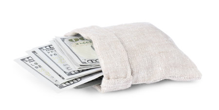 Dollar banknotes in bag isolated on whiteの写真素材