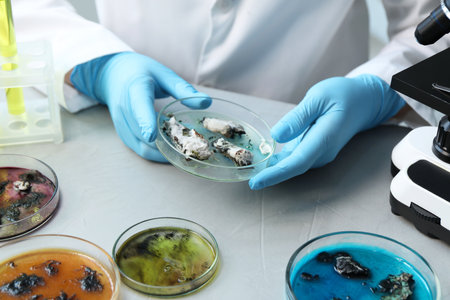 Laboratory worker holding petri dish with sample at light table, closeupの写真素材