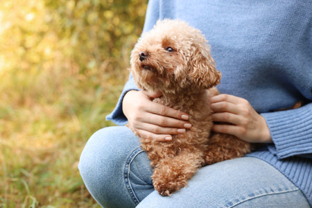 Woman with cute dog outdoors, closeup. Space for textの写真素材