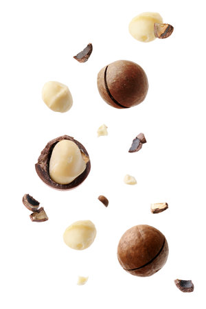 Macadamia nuts and crushed shells in air on white backgroundの写真素材