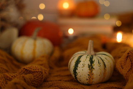 Pumpkin on soft sweater indoors, closeup. Autumn atmosphereの写真素材