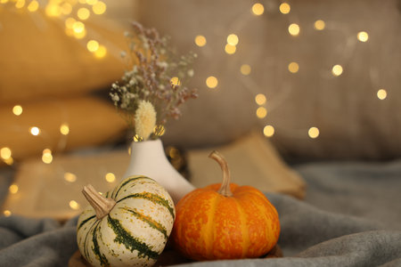 Pumpkins on gray cloth against blurred lights, closeup. Autumn atmosphereの写真素材