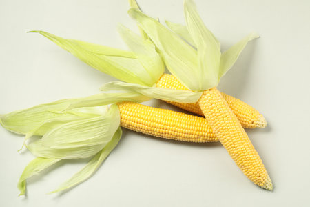 Fresh ripe corncob with green husks on light gray background