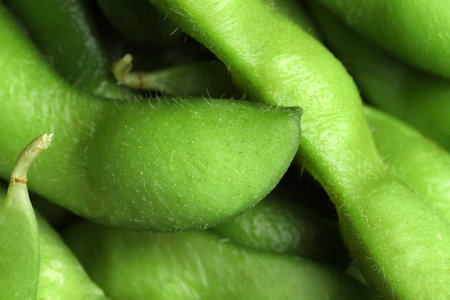 Fresh edamame pods as background, above viewの写真素材