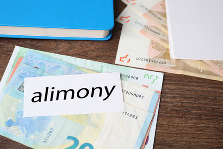 Alimony. Euro banknotes, blank card and notebook on wooden table, closeupの写真素材