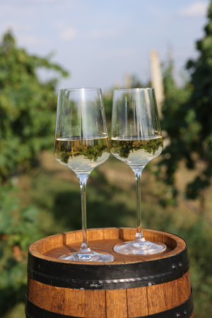 Tasty wine in glasses on wooden barrel outdoorsの写真素材