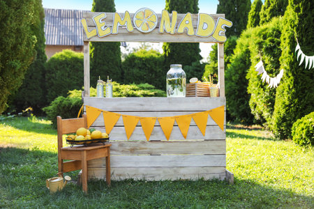 Lemonade stand with refreshing drink and fresh fruits in parkの写真素材
