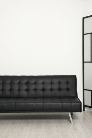Comfortable couch near white wall. Interior design