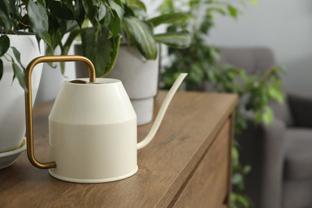 Watering can and beautiful houseplants on wooden chest of drawers indoorsの写真素材