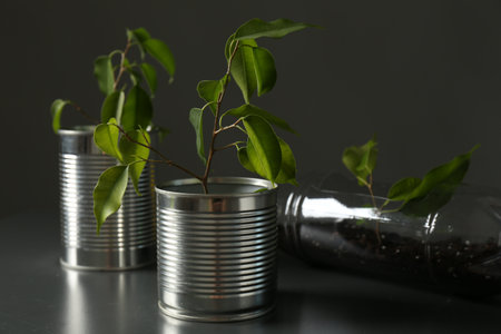 Recycling concept. Metal cans and plastic bottle with growing plants on gray tableの写真素材