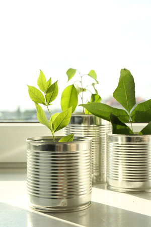 Recycling concept. Metal cans with plants on windowsill