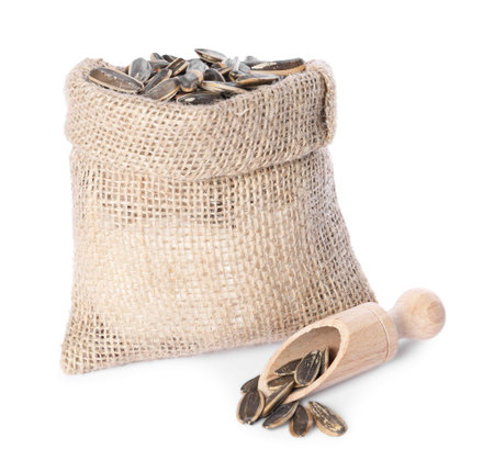 Burlap sack with sunflower seeds and scoop isolated on whiteの写真素材