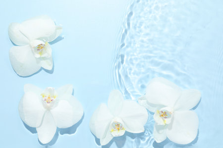 Beautiful orchid flowers in water on light blue background, flat lay. Space for textの写真素材