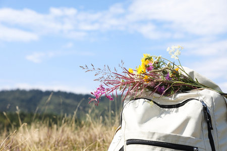Bouquet of beautiful flowers and backpack in mountains outdoors, closeup. Space for textの写真素材