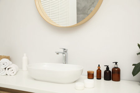 Countertop with sink, towels, houseplant and mirror in bathroom