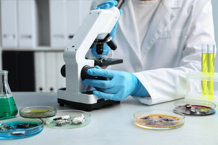 Scientist working with microscope and petri dishes at light table, closeup