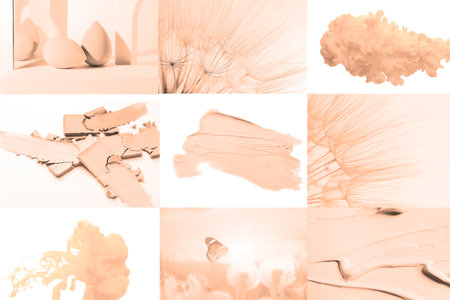 Peach fuzz color themed collage on white backgroundの写真素材