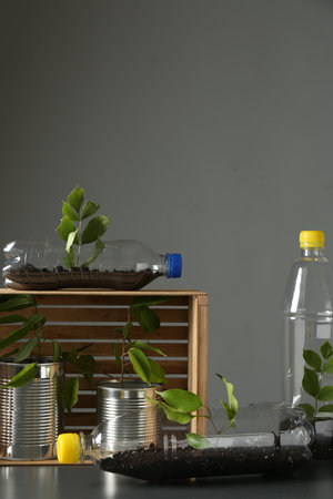 Recycling concept. Metal cans and plastic bottles with growing plants on gray tableの写真素材