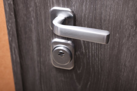 View of door with modern metal handle, closeup