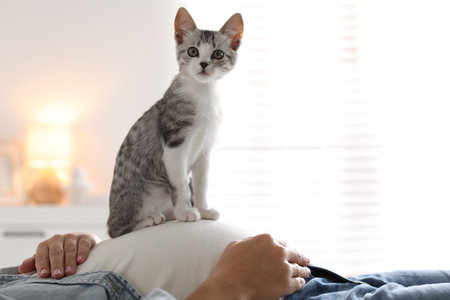 Pregnant woman with cute cat on her belly at home, closeupの写真素材