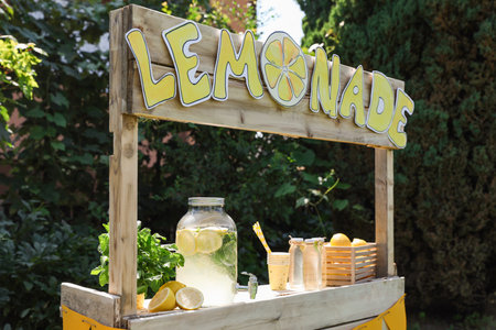 Lemonade stand with refreshing drink, fruits and mint in parkの写真素材