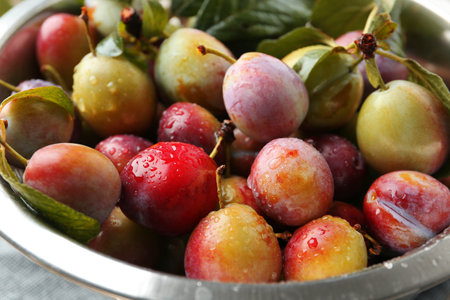 Ripe plums and leaves in colander on table, closeupの写真素材