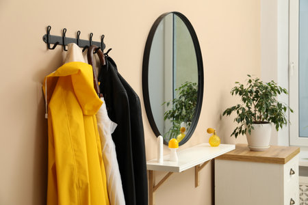 Coat rack with clothes, mirror, houseplant and chest of drawers in hallway. Interior designの写真素材
