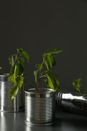 Recycling concept. Metal cans and plastic bottle with growing plants on gray tableの写真素材