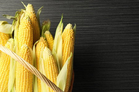 Many fresh ripe corncobs with green husks on wooden table, top view. Space for text