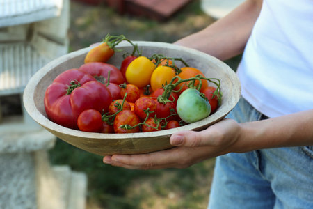 Woman holding bowl of different fresh tomatoes outdoors, closeupの写真素材