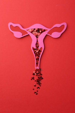 Menstruation. Paper uterus with sequins on red background, top viewの写真素材