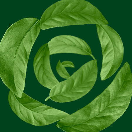 Many leaves swirling in the air on green backgroundの写真素材