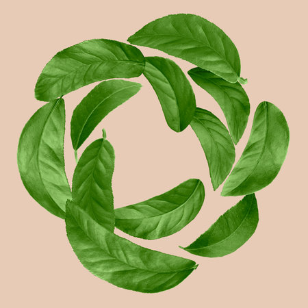 Green leaves swirling in air on dusty pink backgroundの写真素材