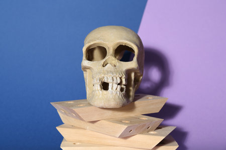 Human skull and wooden blocks on color backgroundの写真素材