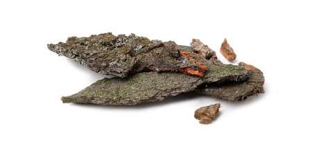 Pieces of tree bark isolated on white