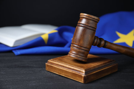 Judge's gavel, book and European Union flag on gray table against black background, closeup. Space...