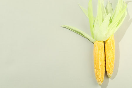 Fresh ripe corncob with green husks on light gray background, top view. Space for textの写真素材