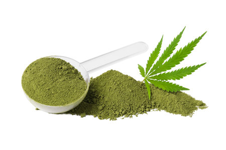 Hemp protein powder, scoop and leaf on white backgroundの写真素材