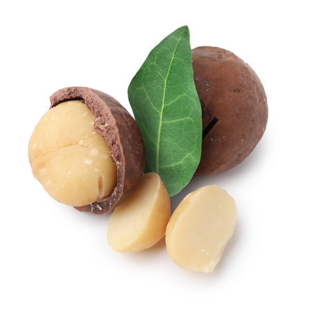 Macadamia nuts and green leaf on white backgroundの写真素材