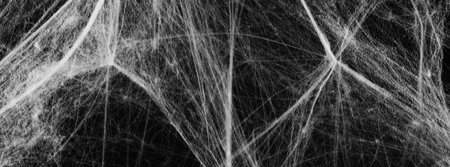 White cobweb on black background, banner designの写真素材