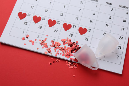 Calendar with marked dates and menstrual cups on red backgroundの写真素材