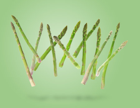 Fresh ripe asparagus in air on light green backgroundの写真素材
