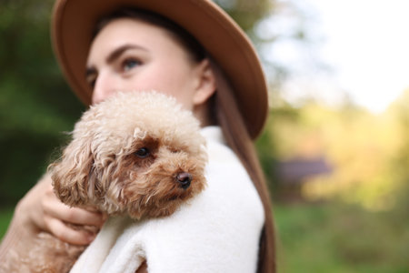 Woman with cute dog outdoors, selective focus. Space for textの写真素材