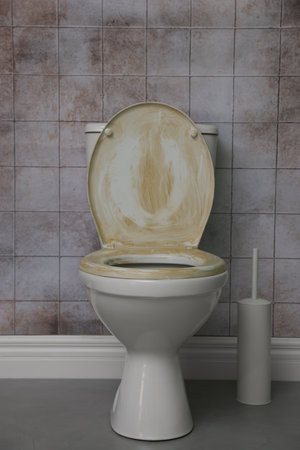 Toilet with dirty seat in public restroom