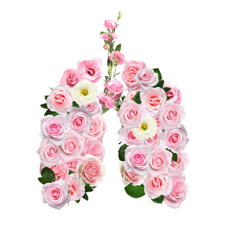 Asthma. Shape of lungs made with flowers on white backgroundの写真素材