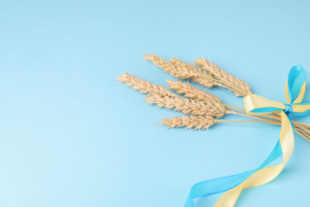 Ears of wheat with ribbons in colors of Ukrainian national flag on light blue background. Space for textの写真素材