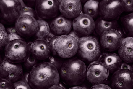 Ripe acai berries as background, top viewの写真素材